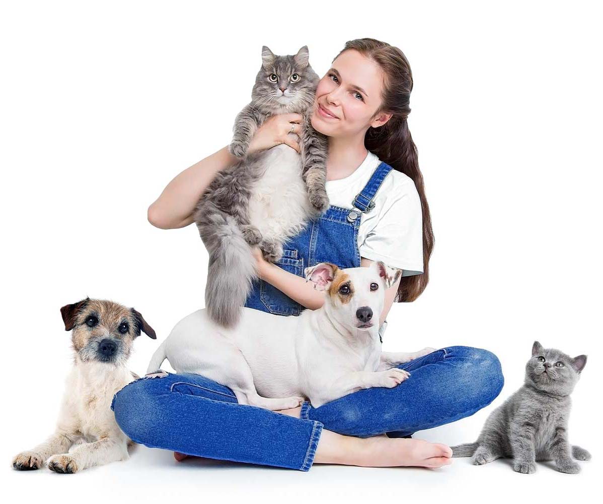 Enhance your pet food and supplement line with premium blue mussel